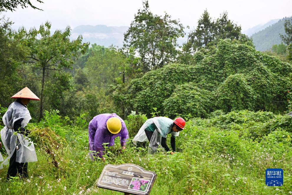 奔驰宝马游戏首页